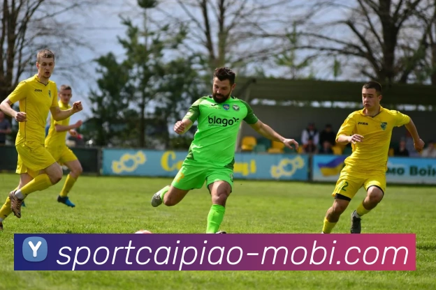 大发彩票APP 封面图